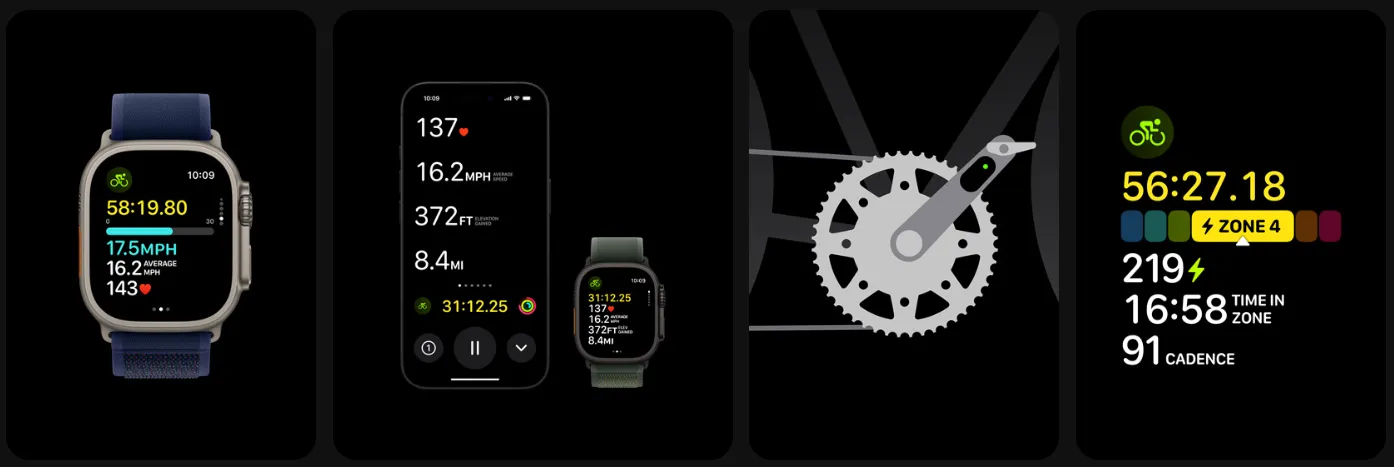 dfvdf.webp dfvdf.webp